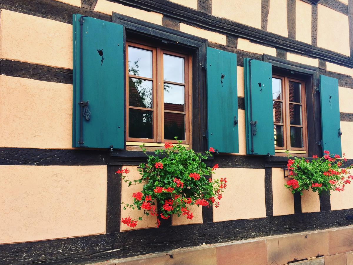 Chambres D'Hotes S'Burehiesel Schillersdorf Kültér fotó